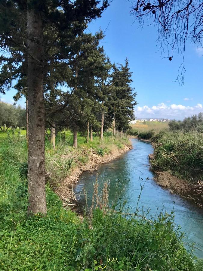 Vardis Olive Garden Georgioupoli Bagian luar foto
